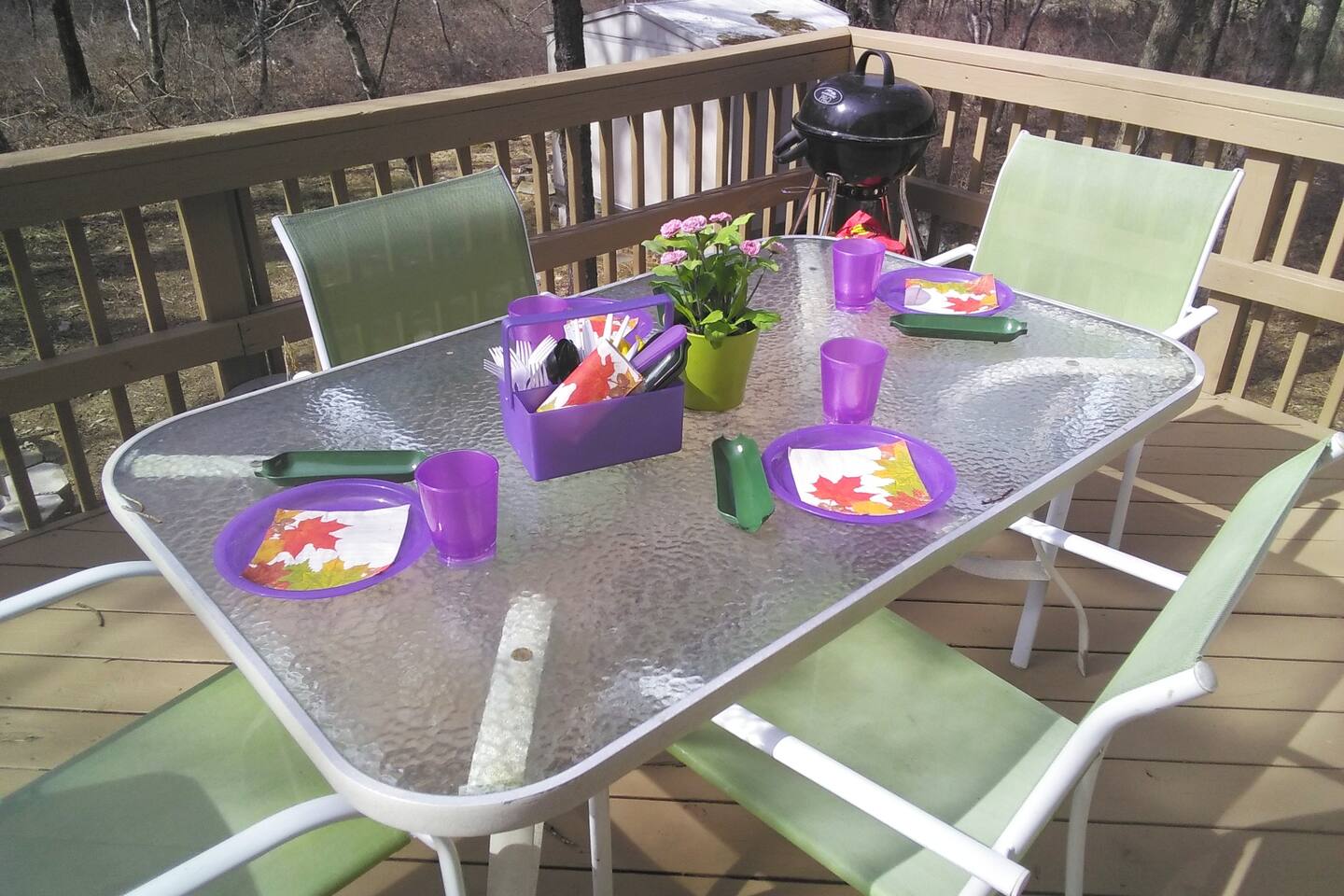 Enjoy a BBQ out on the deck (grill now located on the lower level next to gas grill). 