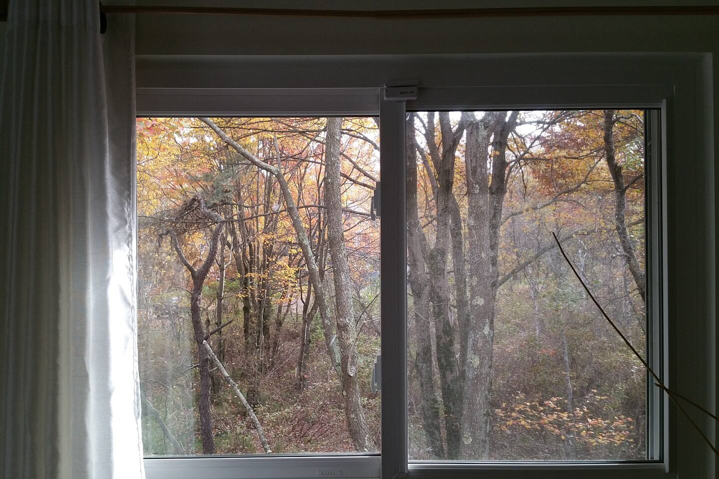 Wonderful wooded views from almost every window. Complete Privacy! 