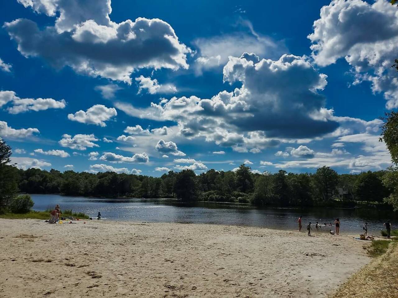 A panoramic shot of pine tree beach/lake near our house.