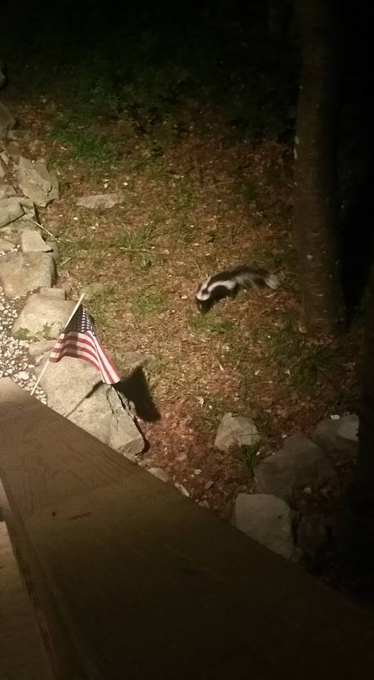 Pepe makes an appearance! 