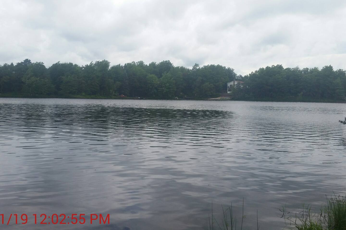 The beauty of Pine Tree lake in the Summer!
