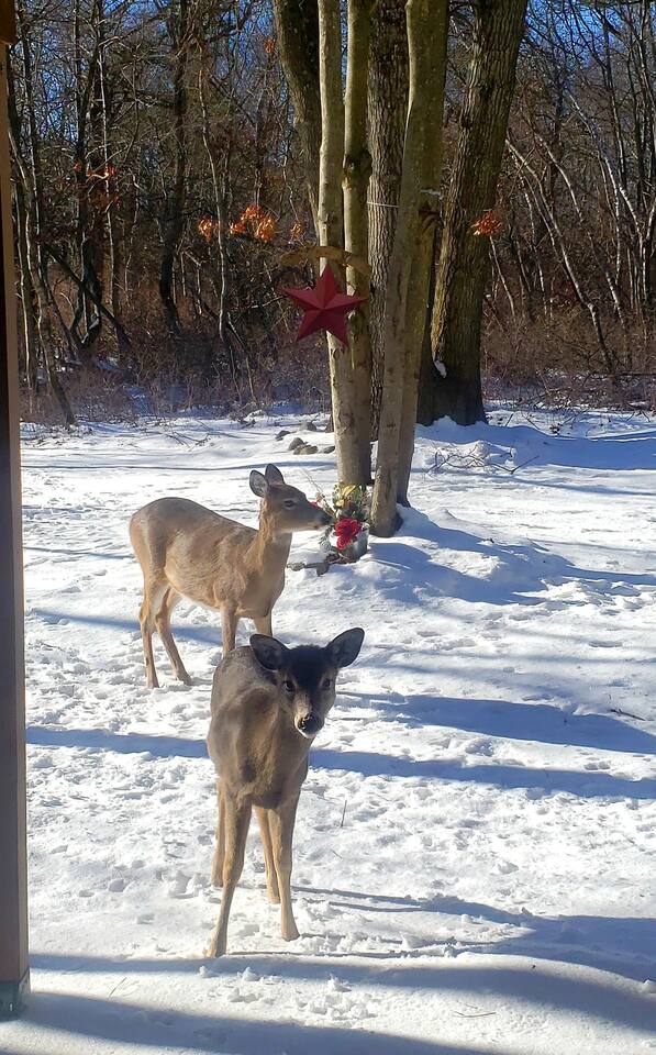 Pepe's Chateau HotTub & Firepit, Jacuzzi, Ev Charger - Long Pond