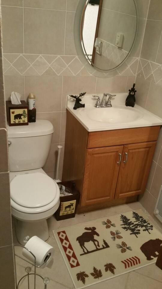 Another themed bathroom for your enjoyment!