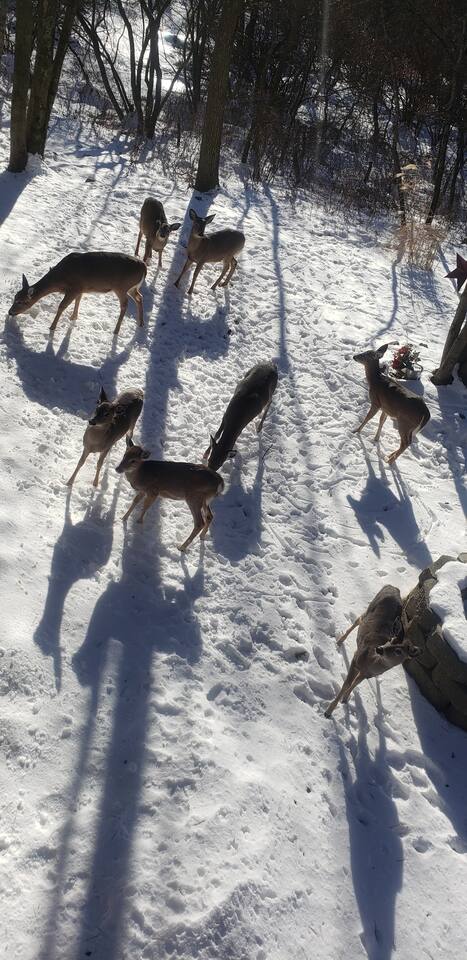 Pepe's Chateau HotTub & Firepit, Jacuzzi, Ev Charger - Long Pond