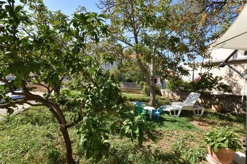 Apartments Dragica - Unit 176721-5