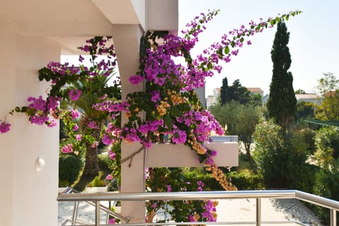 Apartments Villa Daniela - Unit 179460-16