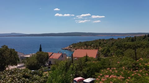 Apartments and Room Mirjana - Unit 179947-16