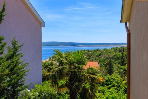 Apartments and Room Mirjana - Unit 179950-16