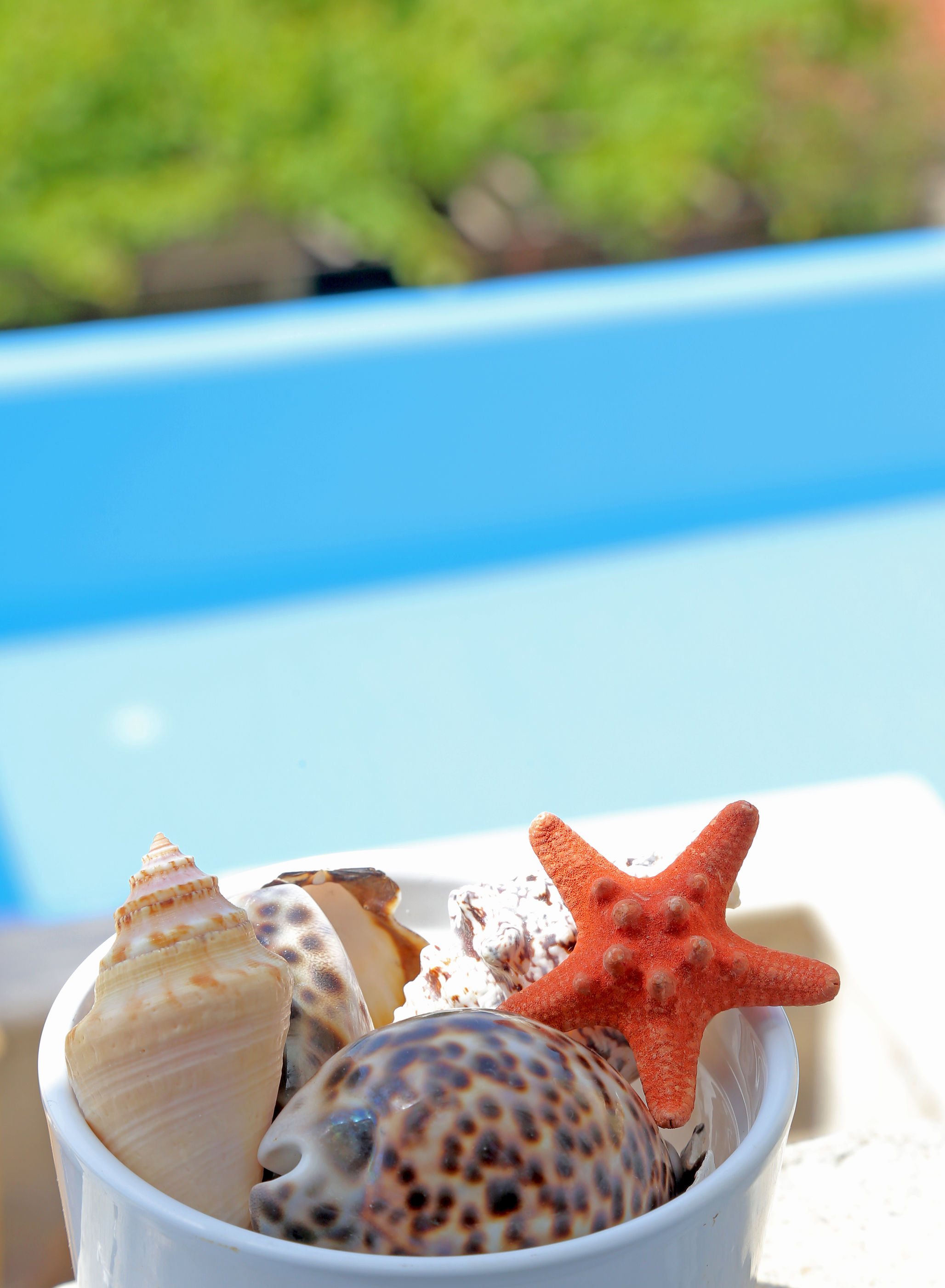 Villa Sea star - K1 - Babino Polje Villa Sea star - K1 - Babino Polje