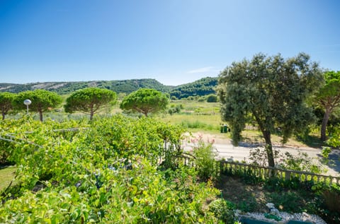 Apartments Elvira - Unit 206250-16