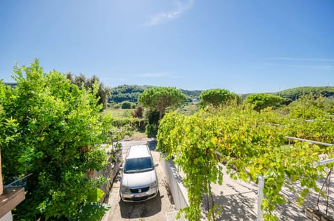 Apartments Elvira - Unit 206251-16