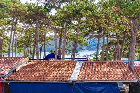 Apartments Ruza-Rajska beach - Unit 206489-16