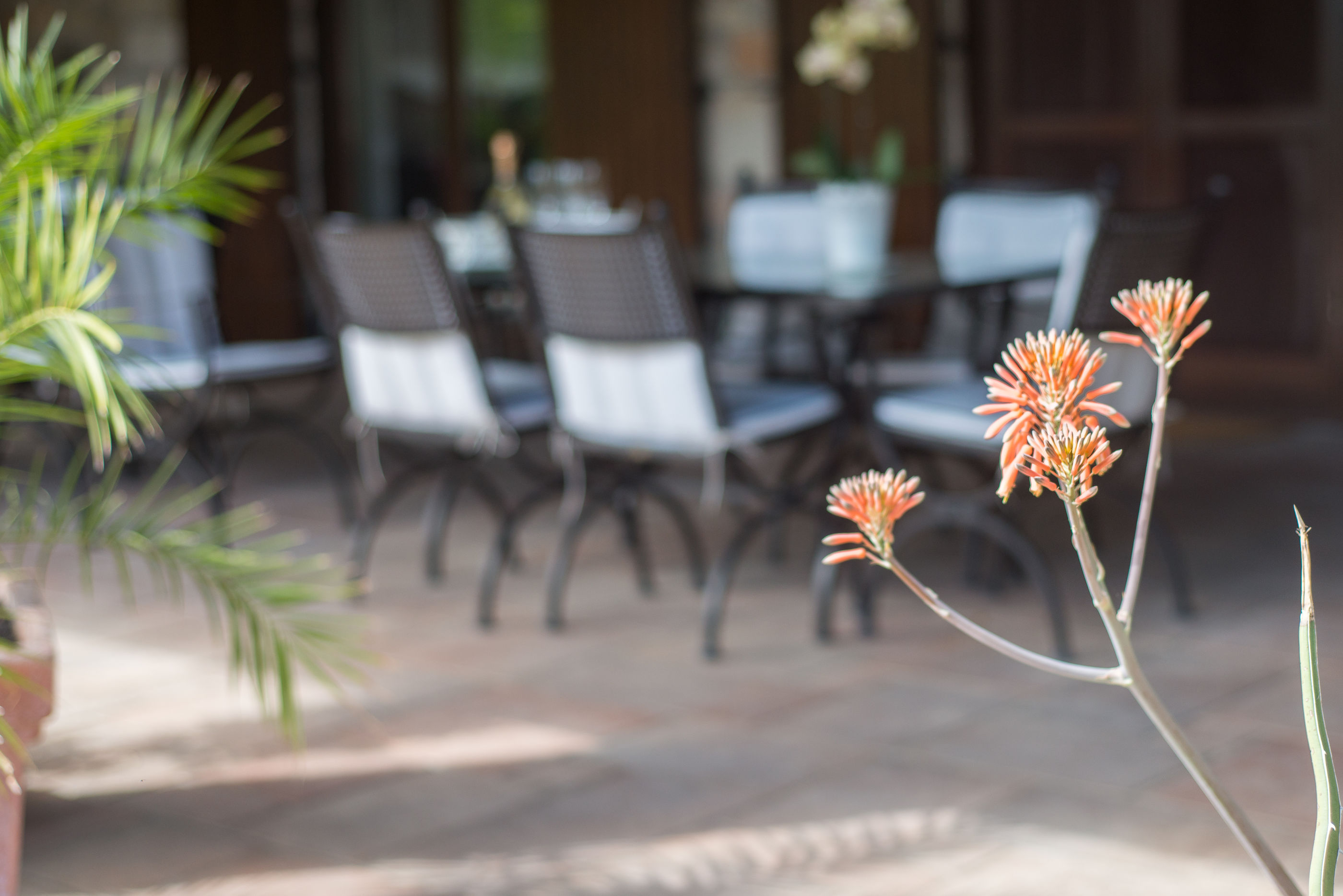 Apartments Villa Renata - A1 - Tisno Apartments Villa Renata - A1 - Tisno