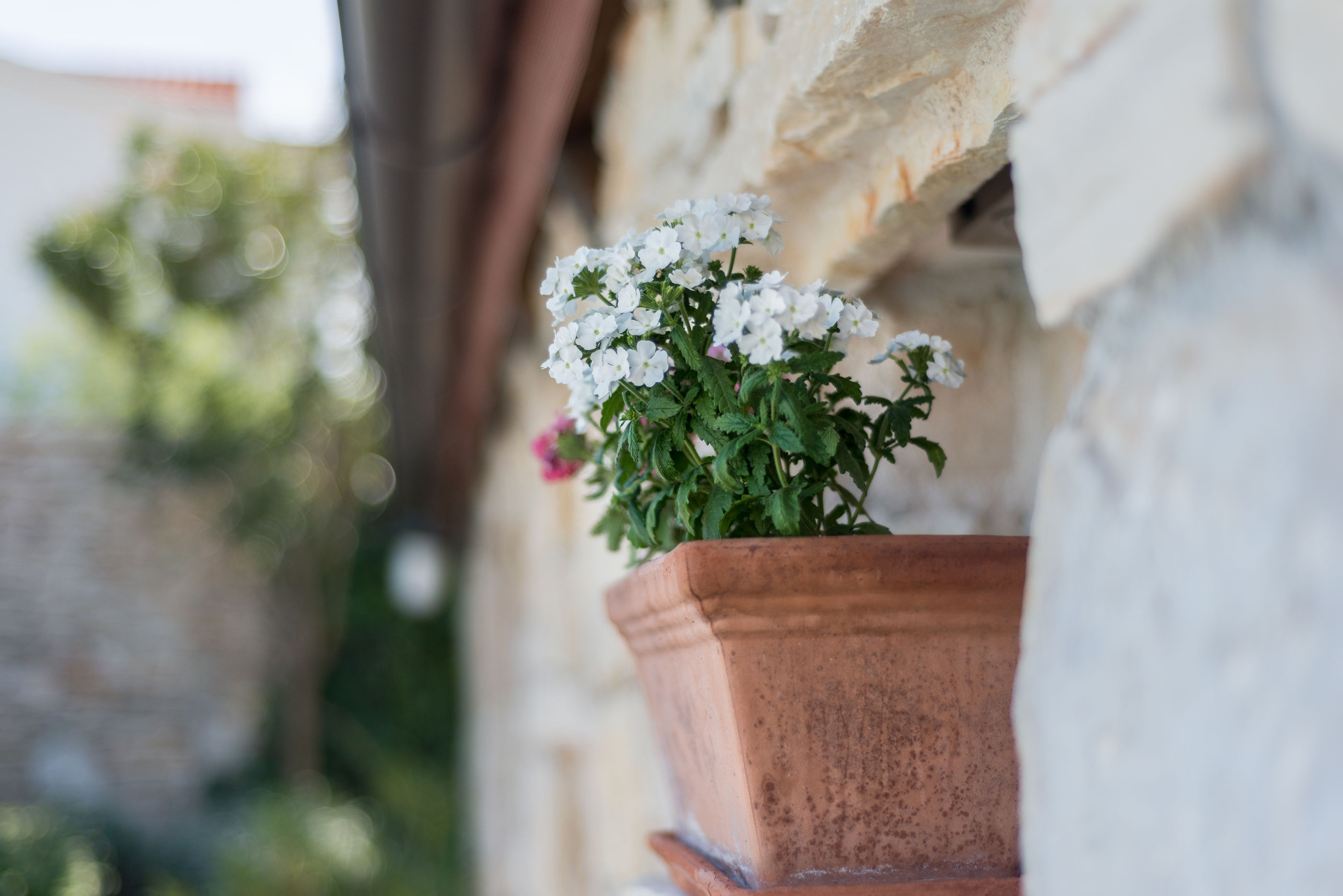 Apartments Villa Renata - A1 - Tisno Apartments Villa Renata - A1 - Tisno
