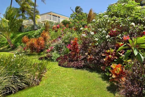 The home is sit on the hillside so you have the stunning view from the 1st floor