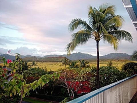 Stunning Mountain View with partial ocean view home