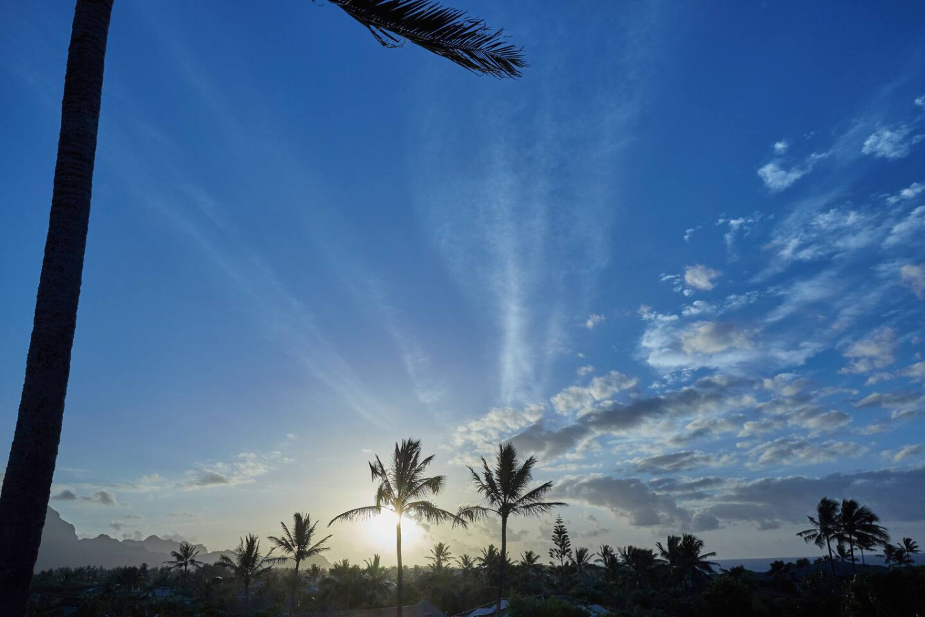 Family Gathering-Walk to Beach• Pool •A/C, Sleep10 - Koloa Family Gathering-Walk to Beach• Pool •A/C, Sleep10 - Koloa