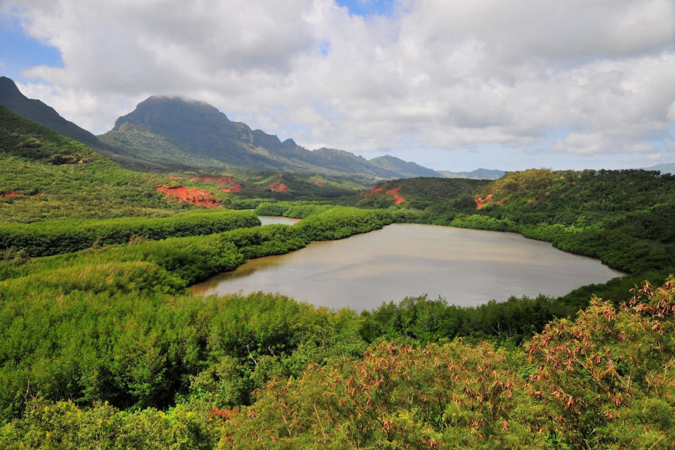Family Gathering-Walk to Beach• Pool •A/C, Sleep10 - Koloa Family Gathering-Walk to Beach• Pool •A/C, Sleep10 - Koloa