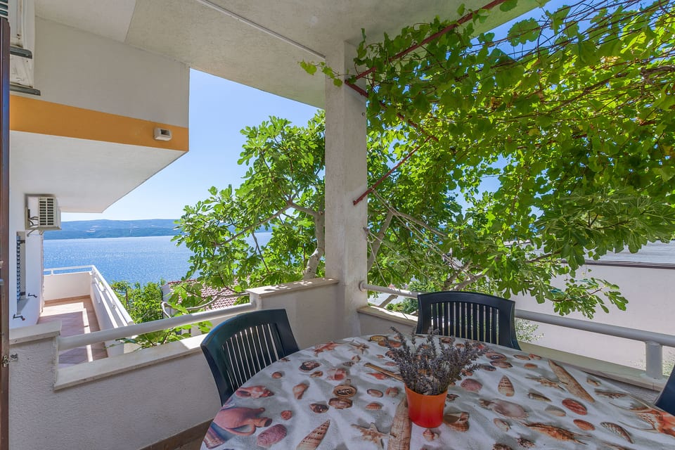 Apartments Dragana - Unit 206970-16