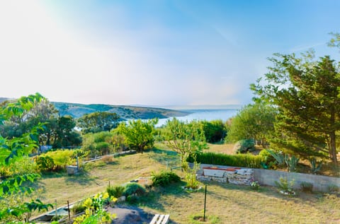 Apartment Ankica - Unit 207144-16
