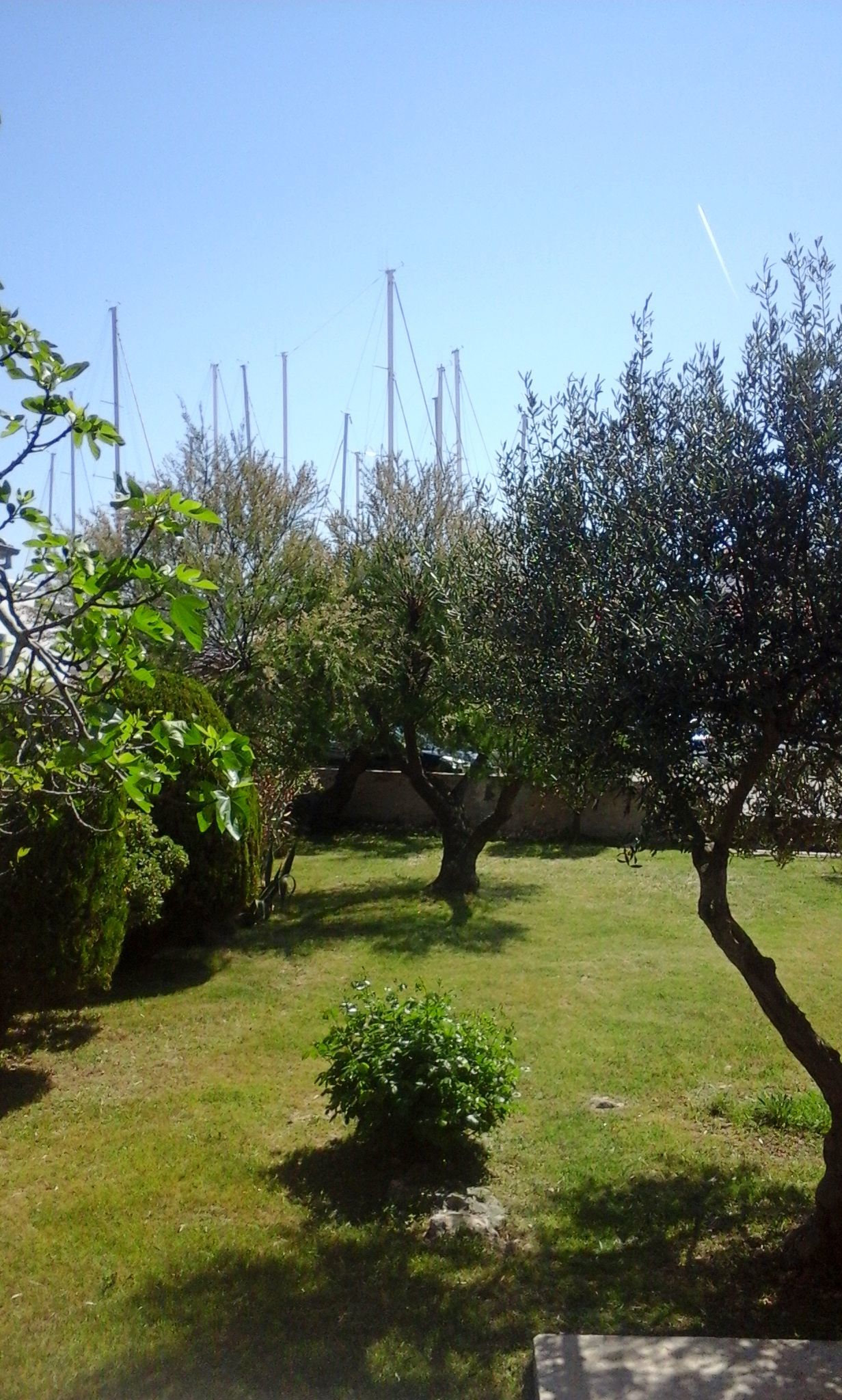 Apartment Benjamin - A1 - Rogoznica