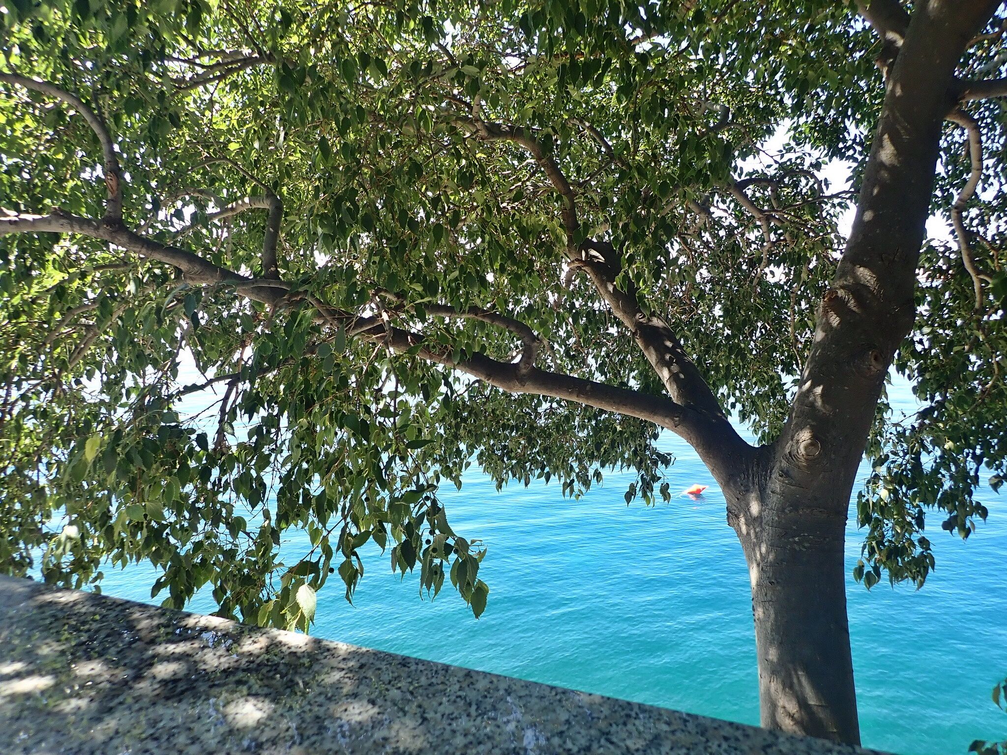 Apartments LILLY BY THE SEA - A1 - Tribanj Apartments LILLY BY THE SEA - A1 - Tribanj