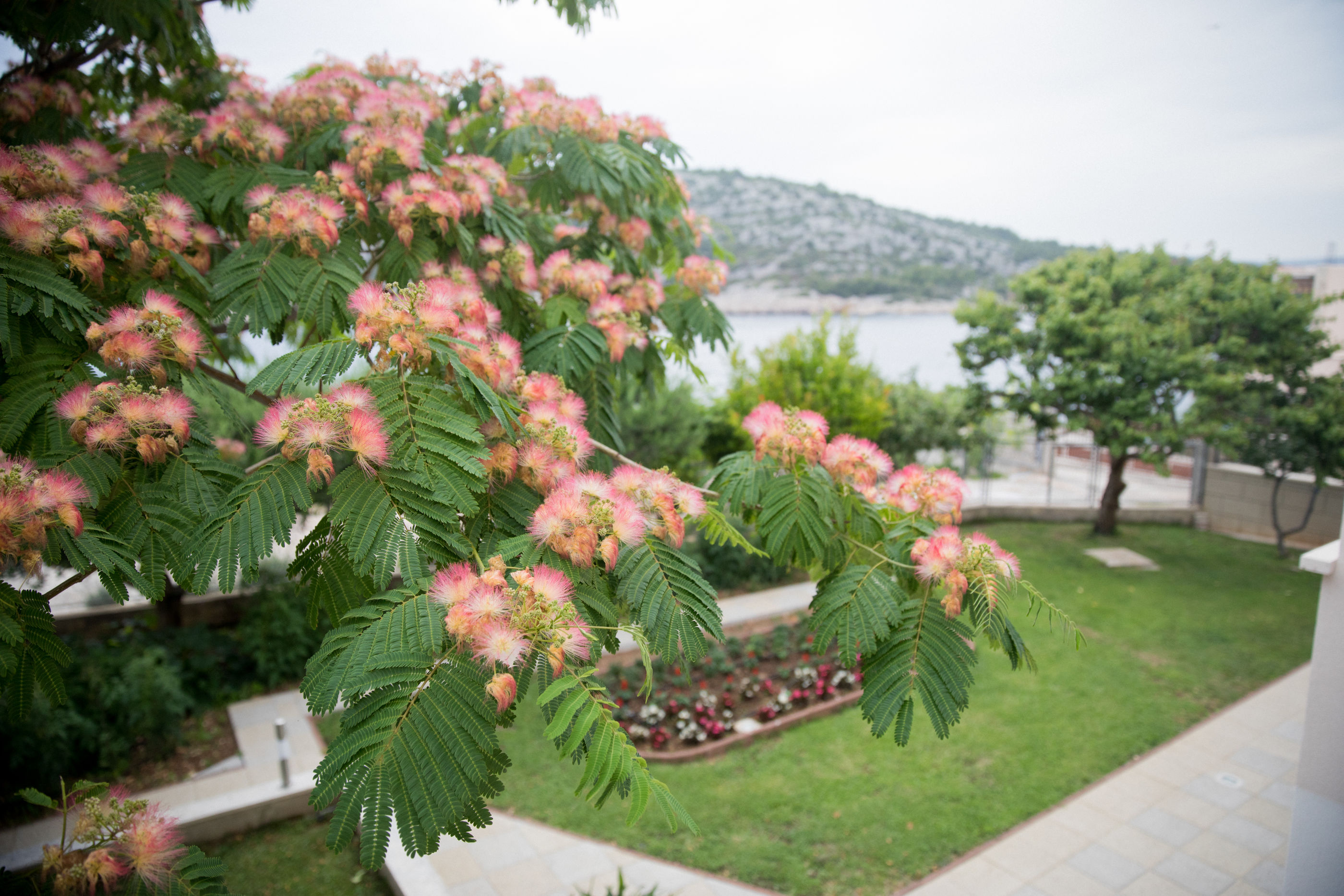 Apartments Nevenka - A3 - Rogoznica