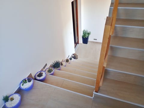 Apartment Dane - Unit 209230-5