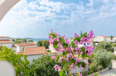 Apartments Zoric - Unit 203057-5