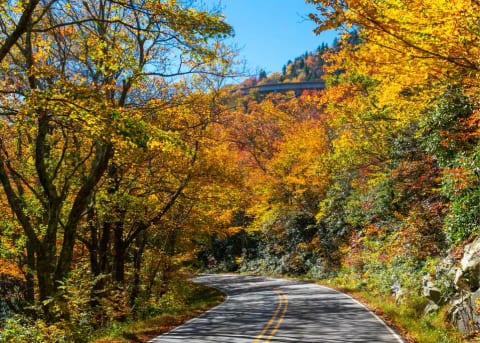 Time to book that fall getaway! Fall foliage in the Blue Ridge Mountains.