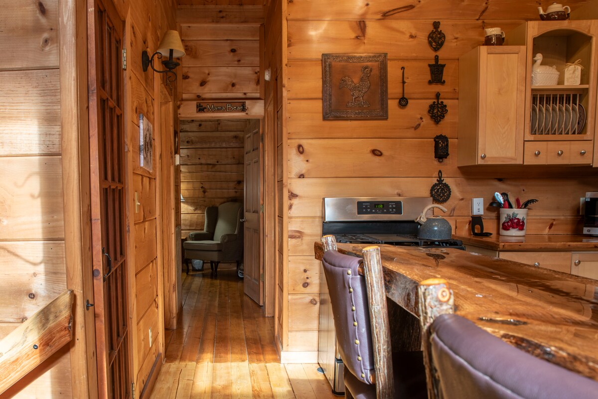 Bear Pause Log Cabin Great Smoky Mountains