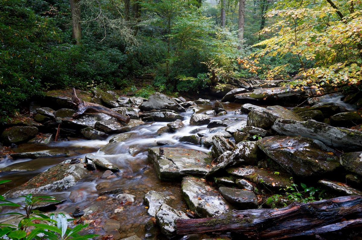 Bear Pause Log Cabin Great Smoky Mountains