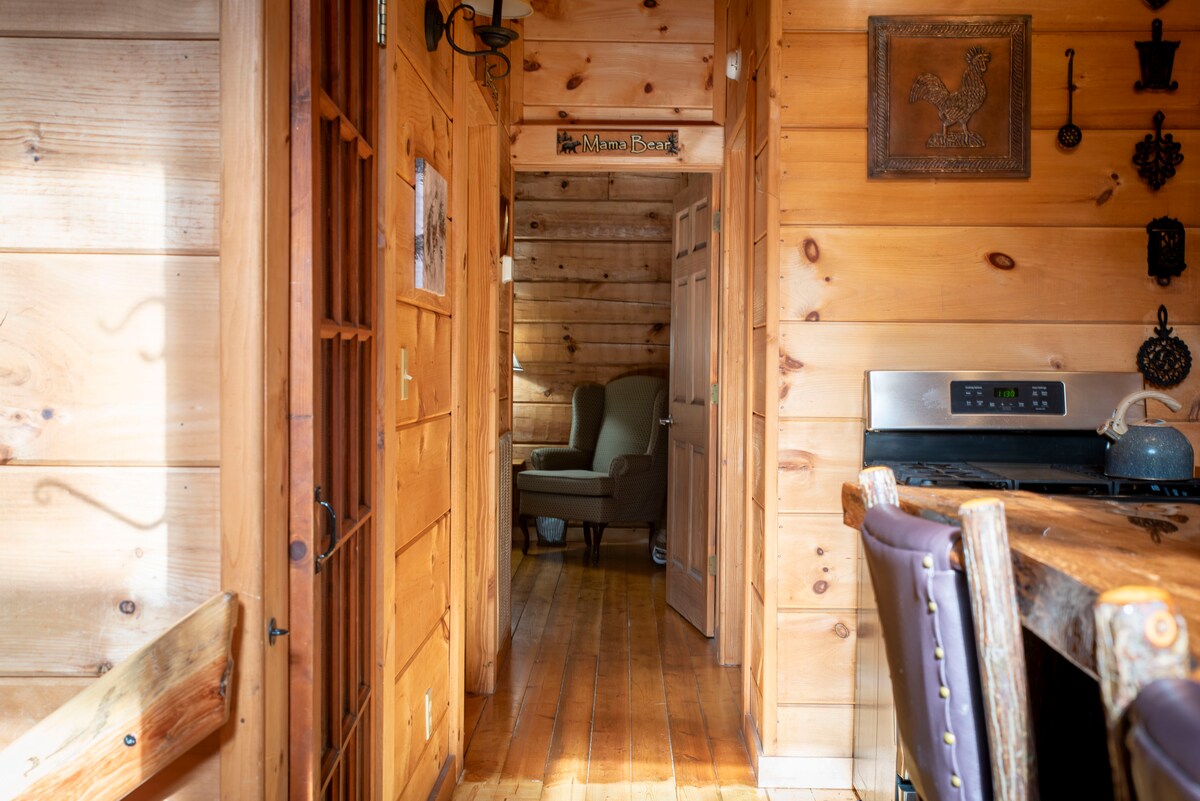 Bear Pause Log Cabin Great Smoky Mountains