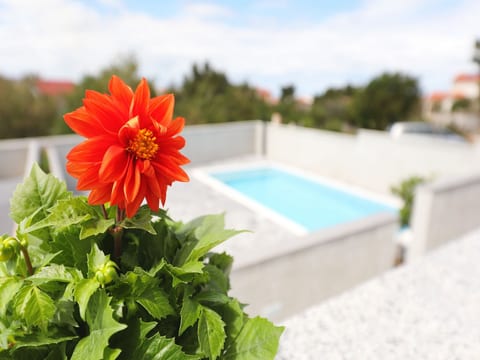 Apartments Grandevista-with swimmingpool - Unit 205486-5