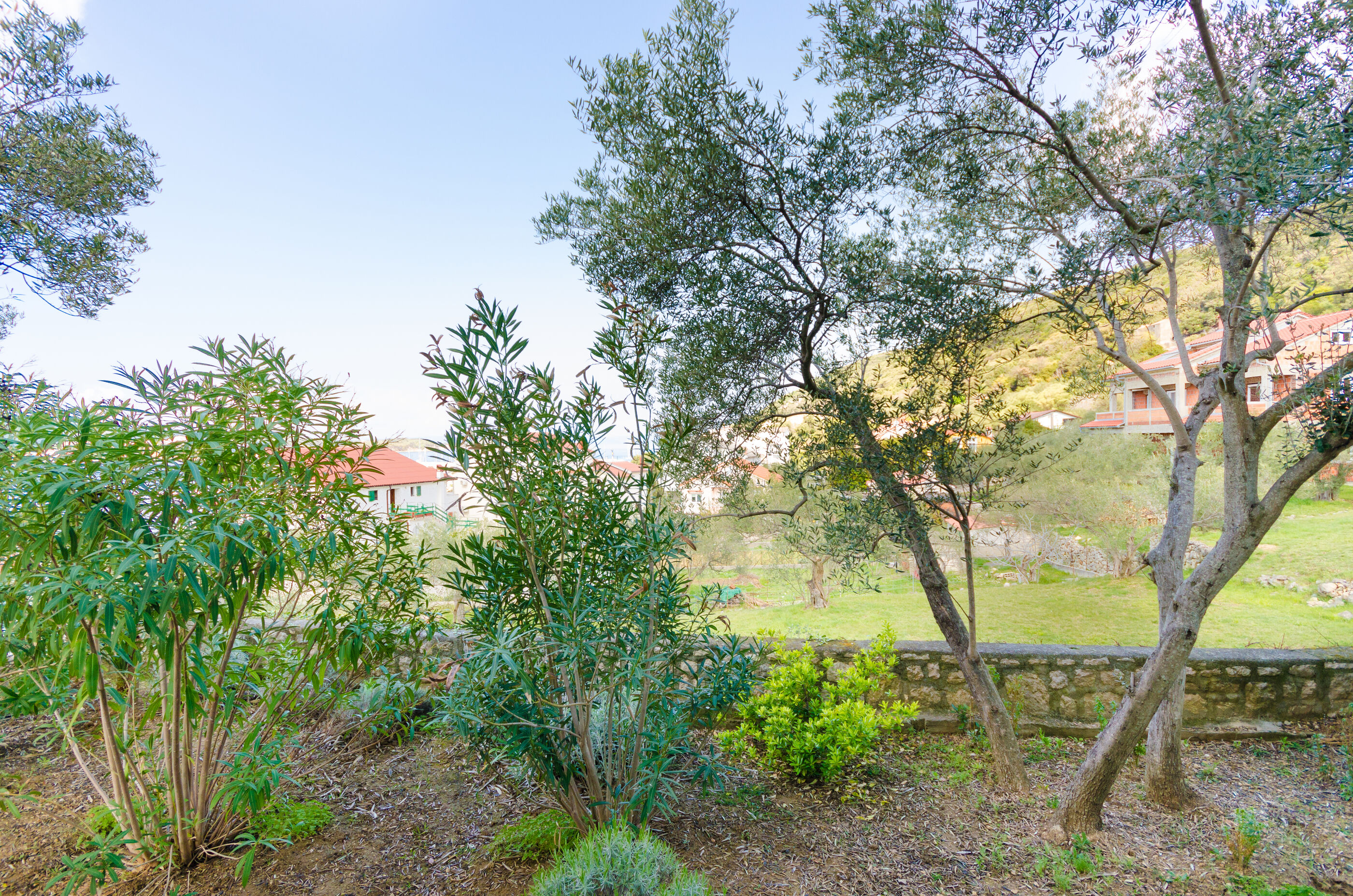 apartments-zorka-a2/