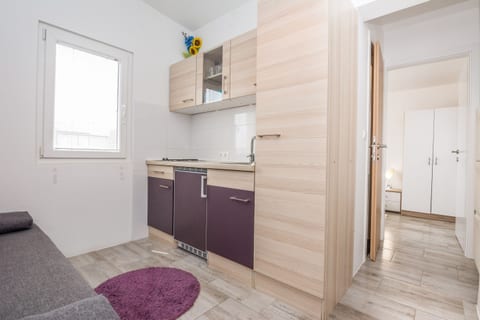 Apartments Ivanusevic - Unit 208978-5