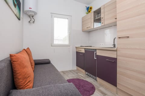 Apartments Ivanusevic - Unit 208978-5