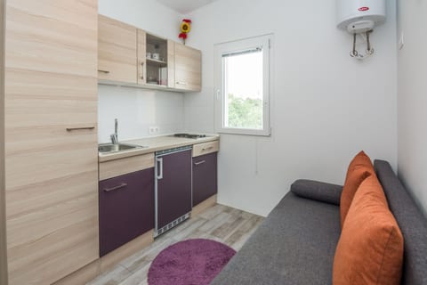 Apartments Ivanusevic - Unit 208979-5