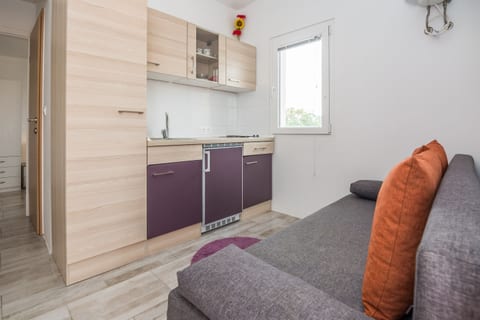 Apartments Ivanusevic - Unit 208979-5