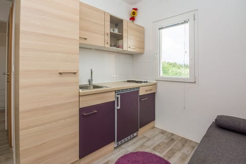 Apartments Ivanusevic - Unit 208979-5