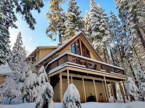Snowy times in Dorrington