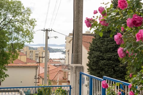 Apartment Kata - Unit 209493-5