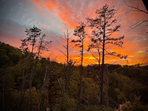 Copper Top Cabin TN