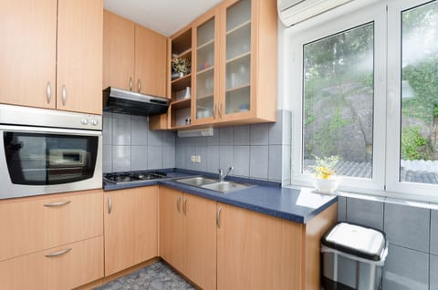 Apartment Andrej - Unit 211404-16