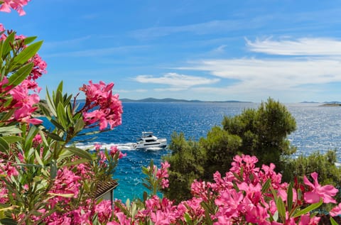 Apartment Zamalin SeaView - Unit 211446-16