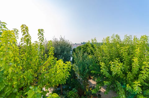 Apartments Zarko - Unit 211867-16