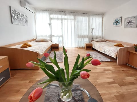 Apartment Oliva - Unit 369012-13