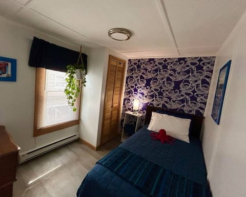 Downstairs Bedroom