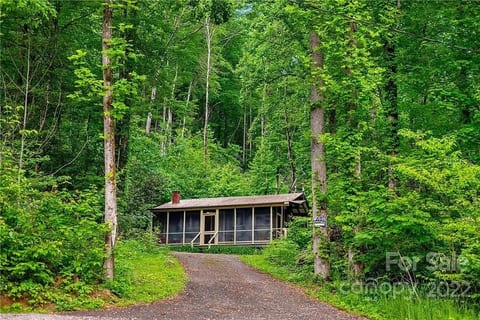 Cozy cabin nestled in the woods