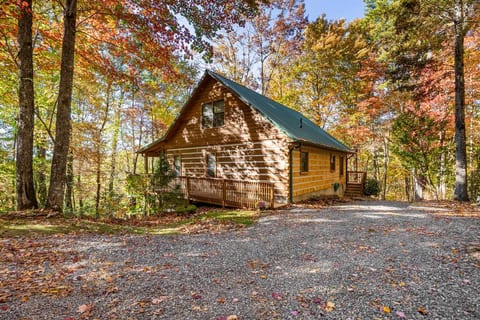 View of cabin from driveway